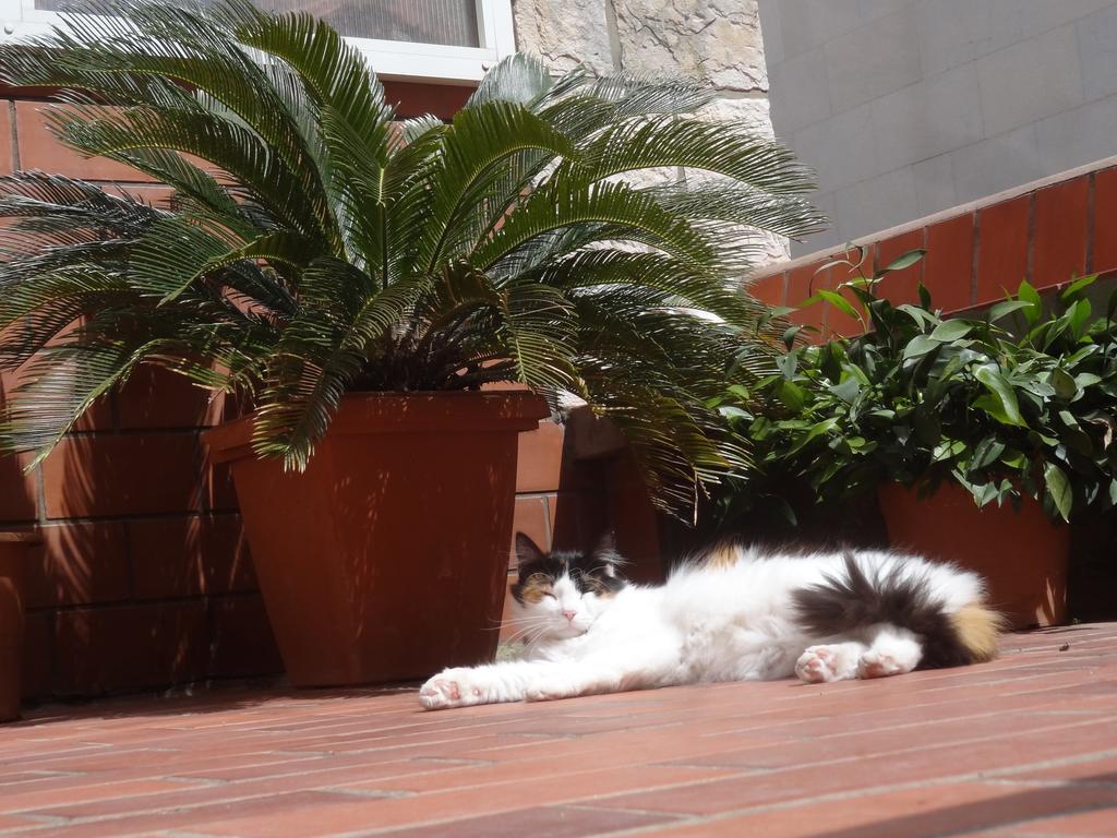 Apartman Heart Of The Dubrovnik